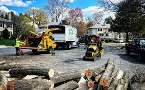 Best Emergency Tree Removal  in Federal Y, WA